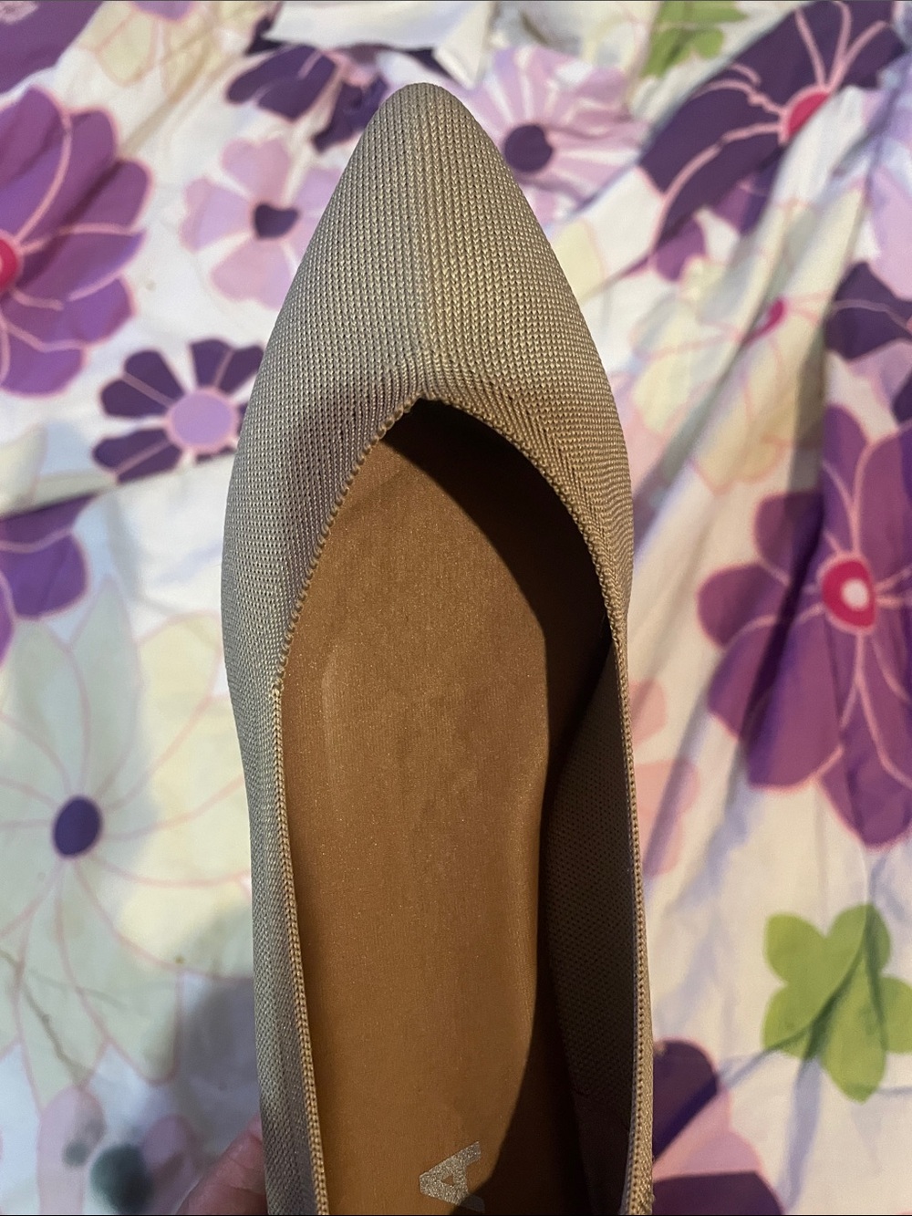 MIA Pointed Toe Flat in Taupe